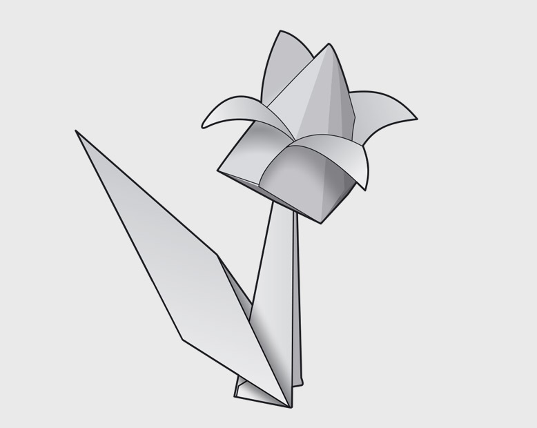 Tulipan – model tradycyjny